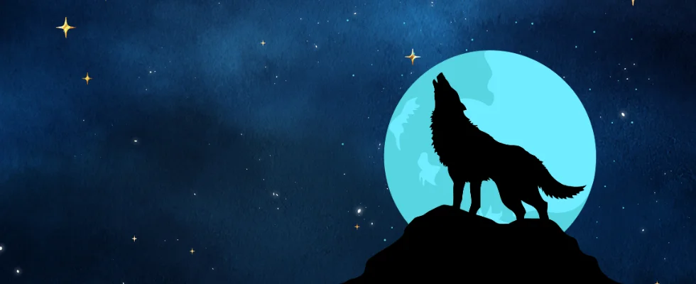 Wolf Winner Casino login